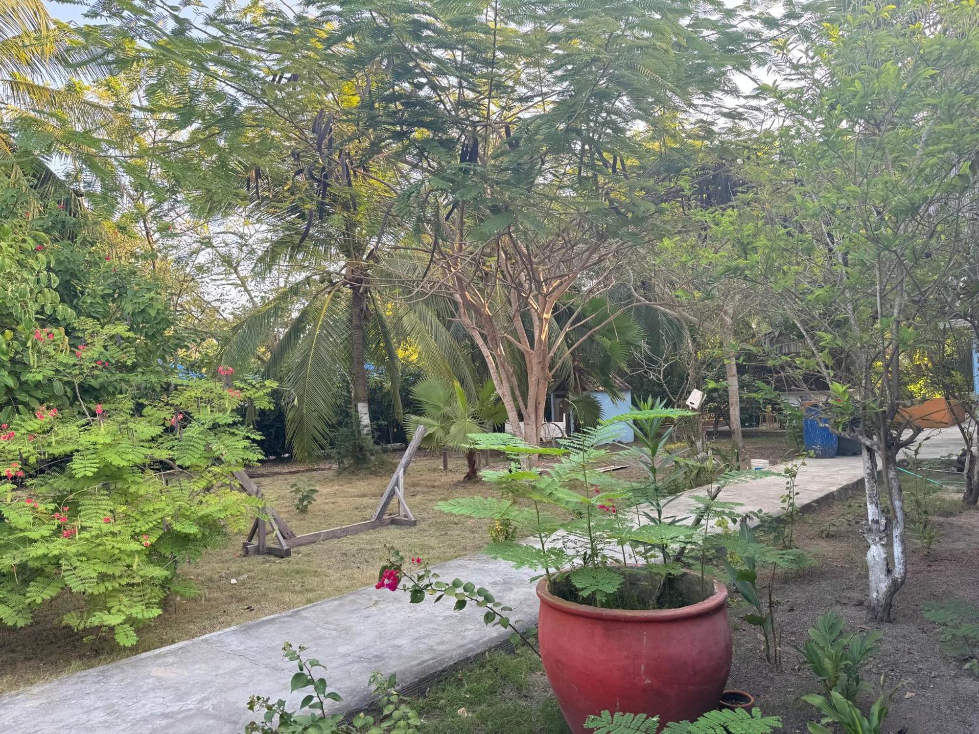 Casa Lolas House By Ctglifetravelers Isla Grande  Eksteriør bilde